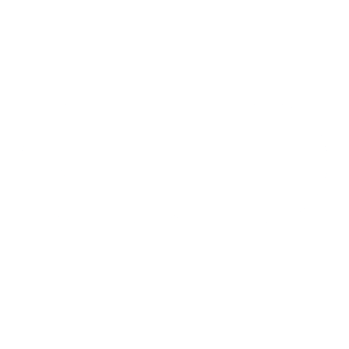 Nearmind Logo